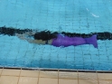 Meerjungfrauenschwimmen-155.jpg
